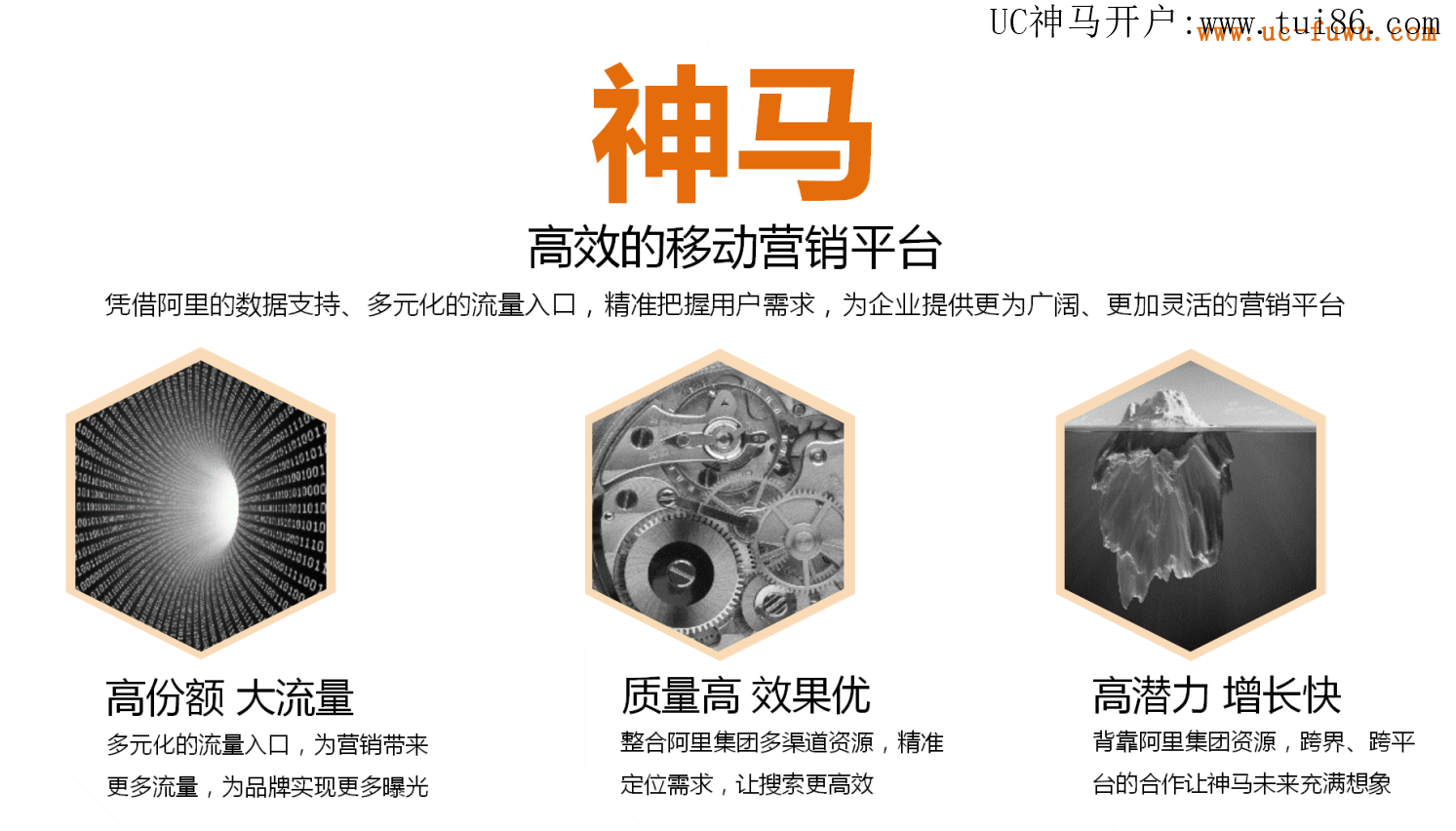 神马搜索:高效的移动营销平台