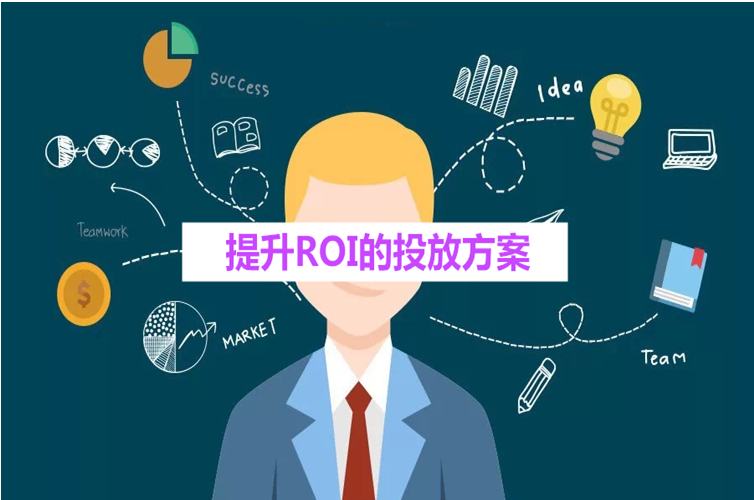 ����ROI��Ͷ�ŷ���
